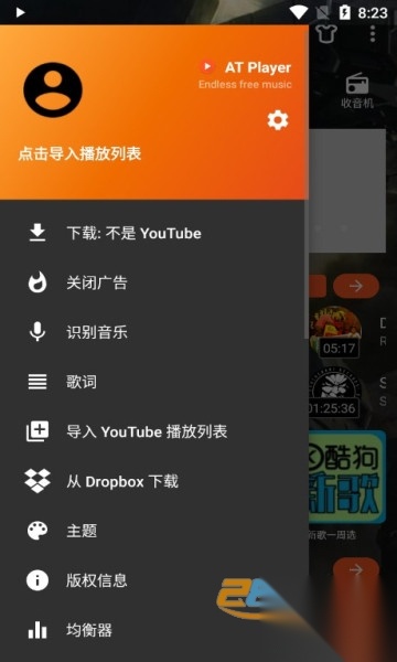 atplayer音乐专业版截图2