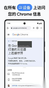 chromecanary安卓版截图2