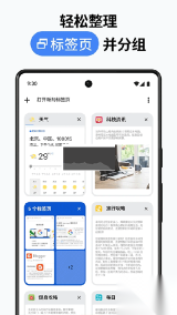 chromecanary安卓版截图1