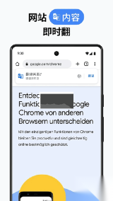 chromecanary安卓版截图4