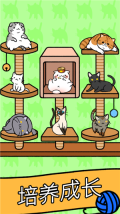 CatCondo图2