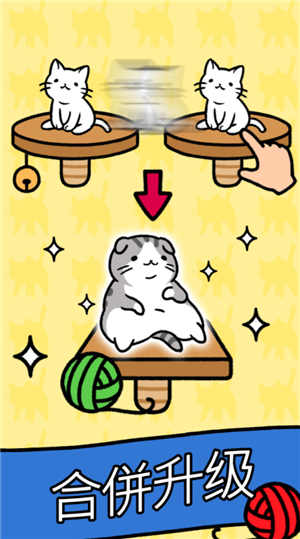 CatCondo图3