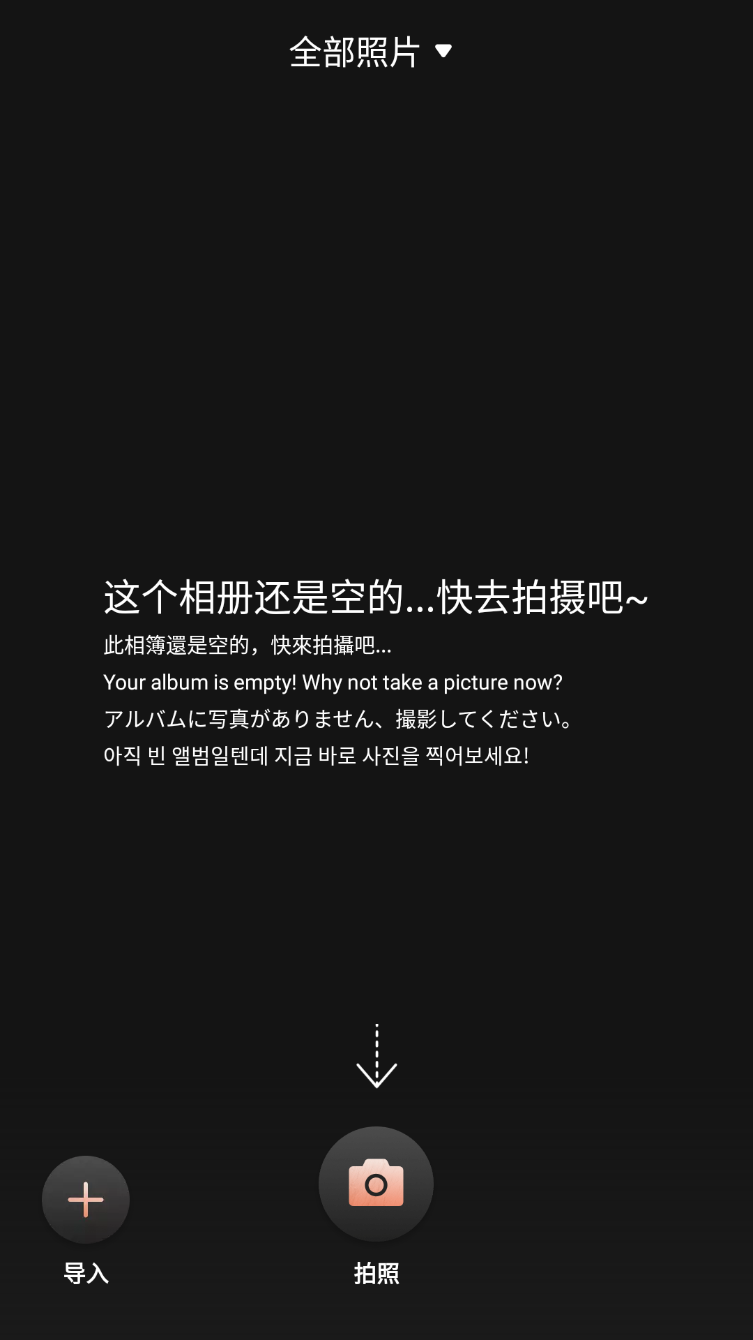 Chic图2