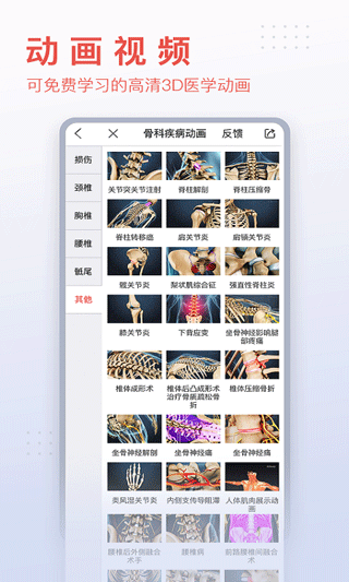 3DBody解剖图2
