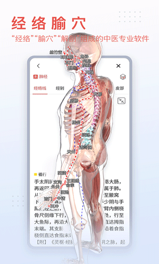 3DBody解剖图1