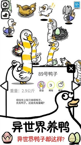 鸭了个鸭截图3