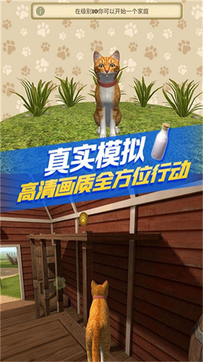猫咪生存模拟器中文版(2)