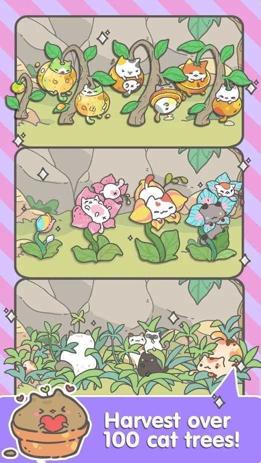 我的猫咪盆栽官网版图3