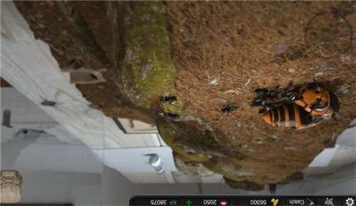 蚂蚁模拟大亨正版图3