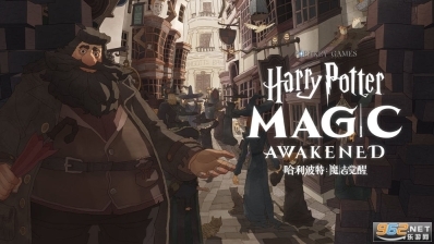 哈利波特魔法觉醒图5