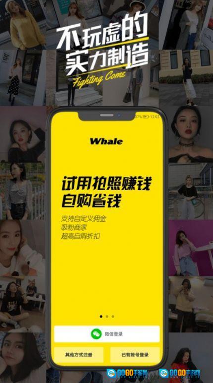 鲸鱼试用图1
