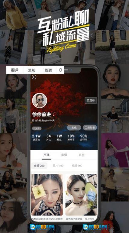 鲸鱼试用图3