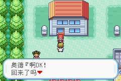 口袋妖怪火红中文版截图2