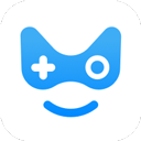 奇游联机宝专业版