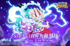 航海王燃烧意志华为版