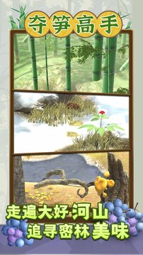 夺笋高手最新版(2)