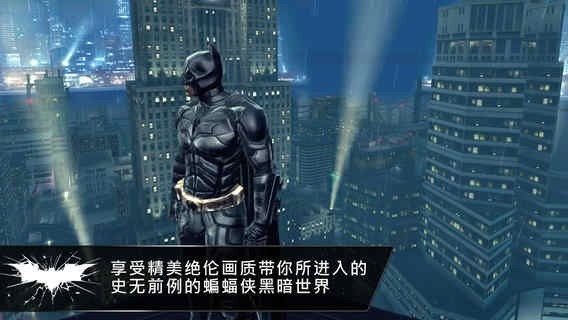 蝙蝠侠黑暗骑士崛起手机版(2)