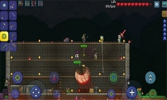 tmodloader灾厄模组汉化版