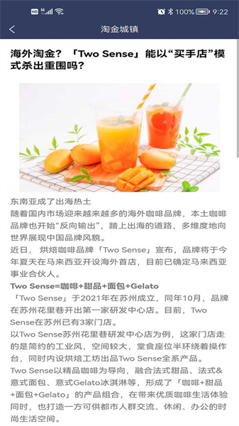 淘金城镇app(3)