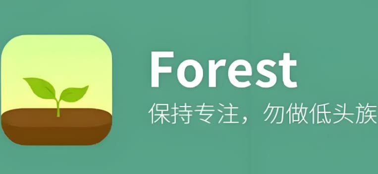 forest专注森林版本大全
