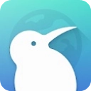 Kiwi浏览器中文精简版