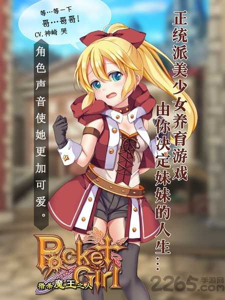口袋少女汉化版(3)