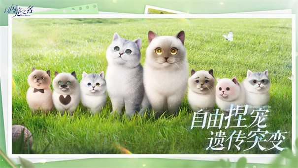 以闪亮之名官方正版图3