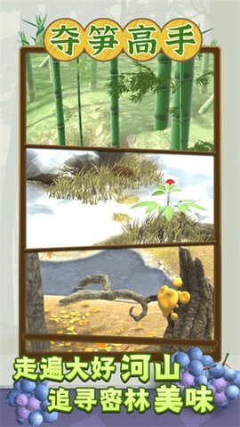 夺笋高手免广告版图3