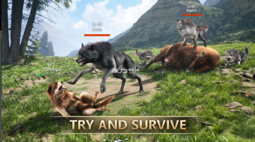 狼族崛起国际服