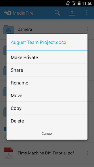 mediafire(1)