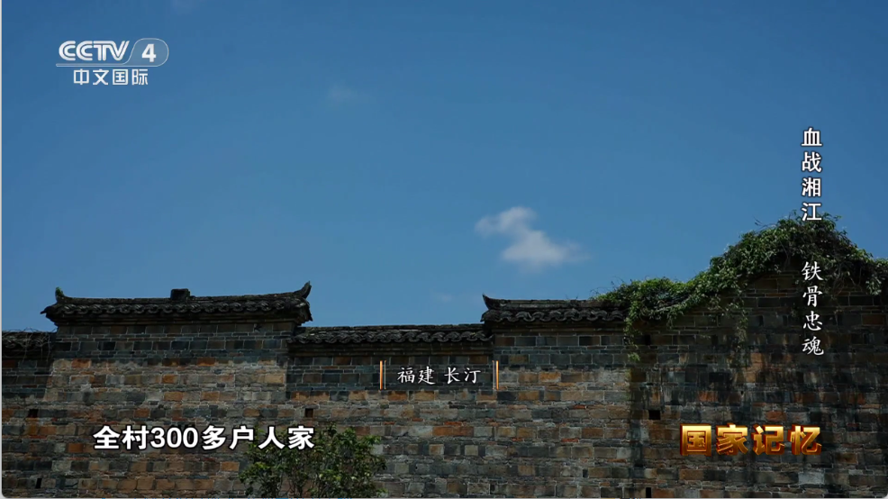 乘风TV手机版截图3