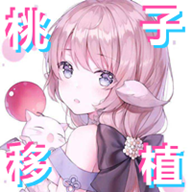 雷电将军触摸游戏安卓版 v3.0