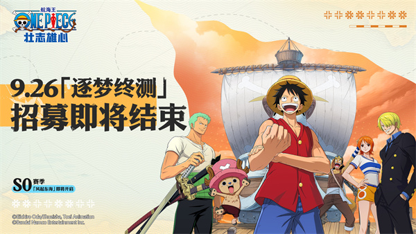 航海王壮志雄心测试服