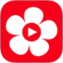 布米米影视官方版