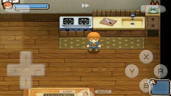 牧场物语双子村汉化版