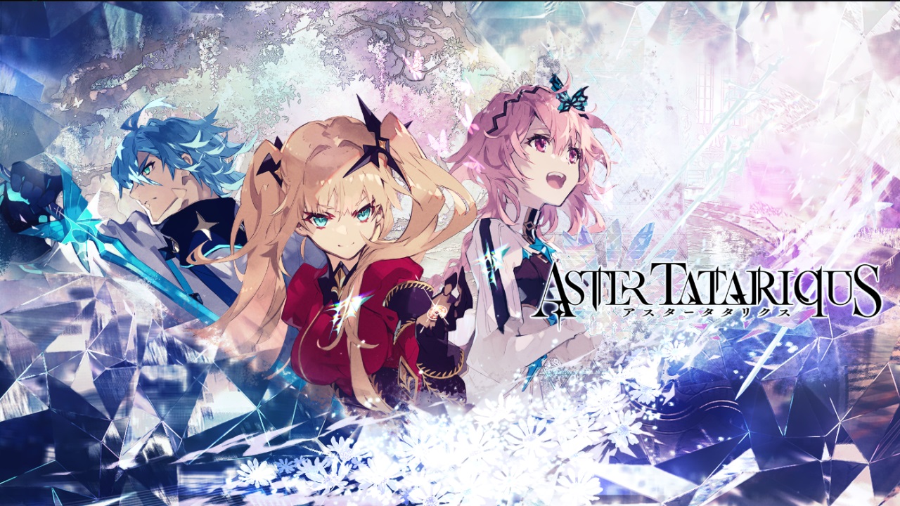 Aster Tatariqus国际服(3)