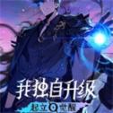 我独自升级起立觉醒