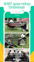 iPanda熊猫频道图2