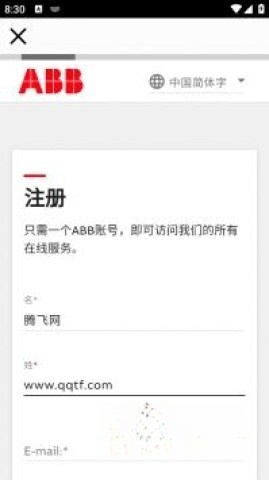 粉色abb苏州晶体图3