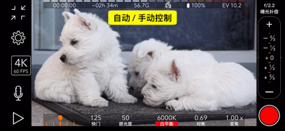 ProMovie 专业摄像机图1