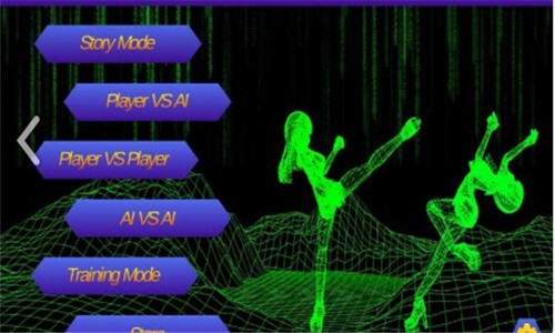 全女格斗汉化版截图3