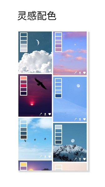 好色先生2025最新版