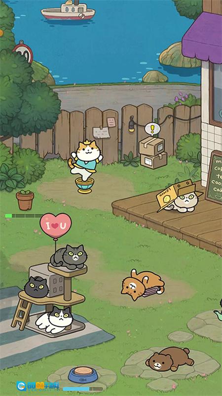 神秘猫咪字典图1