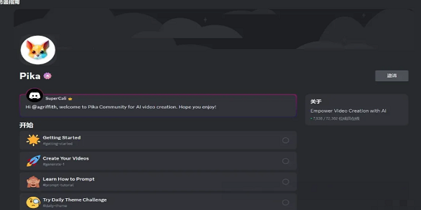Pika Labs手机版
