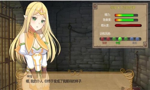 大奴隶主3精灵征服者