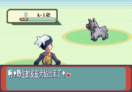 口袋妖怪红宝石386（悟饭版图3