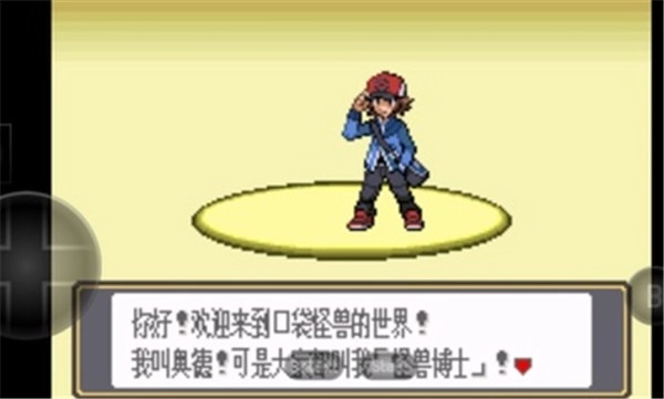 口袋妖怪黑白图3