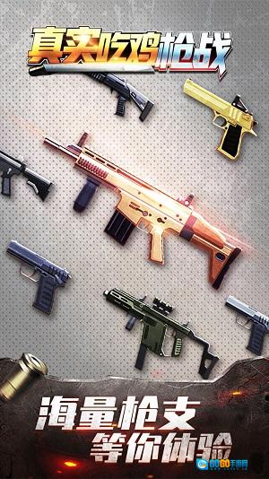 真实吃鸡枪战图1