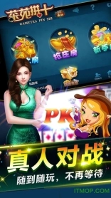 游戏茶苑拼十图1