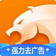 猎豹浏览器 V5.23.2